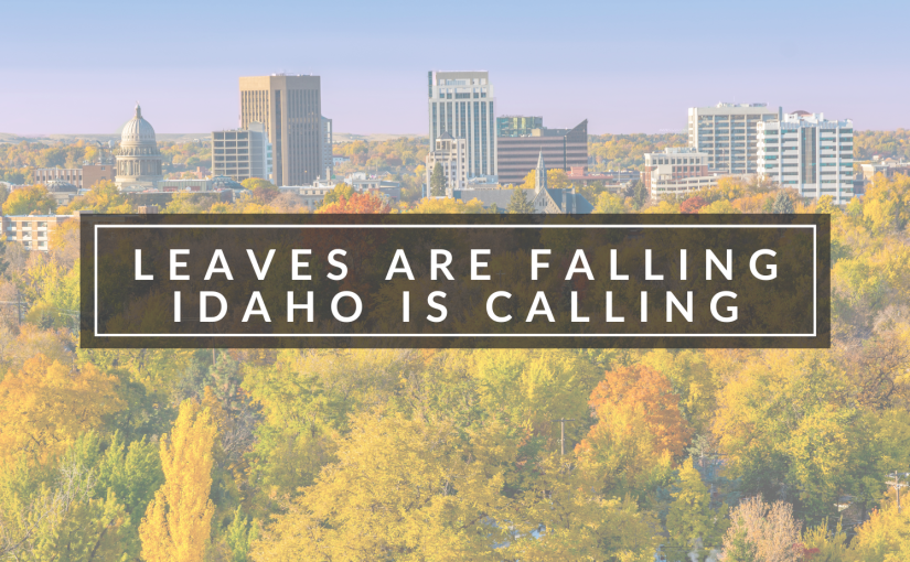 Leaves are Falling, Idaho is calling!