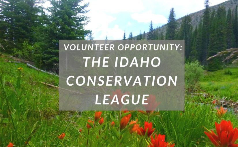 Protecting Idaho’s Natural Beauty: The Idaho Conservation League