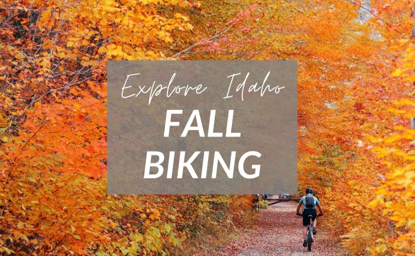 Idaho’s Best Fall Mountain Biking Trails for Stunning Fall Colors